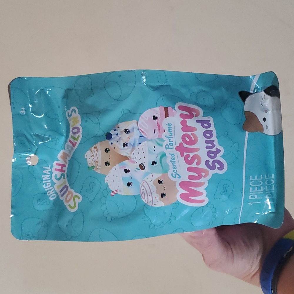 Squishmellow Unopened dessert  scented mystery squad 5 inch squishmallow
